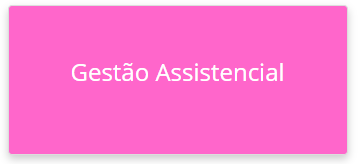 Gestão Assistencial